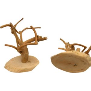 JAVA MINI Tree, Coffeewood Base-XS