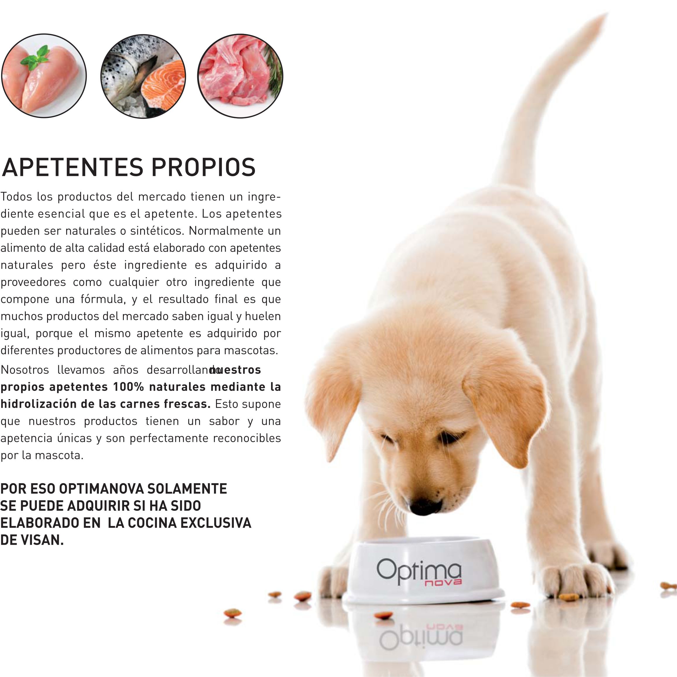 OPTIMA NOVA ADULT LARGE POLLO PATATA 12 KG. - Imagen 5