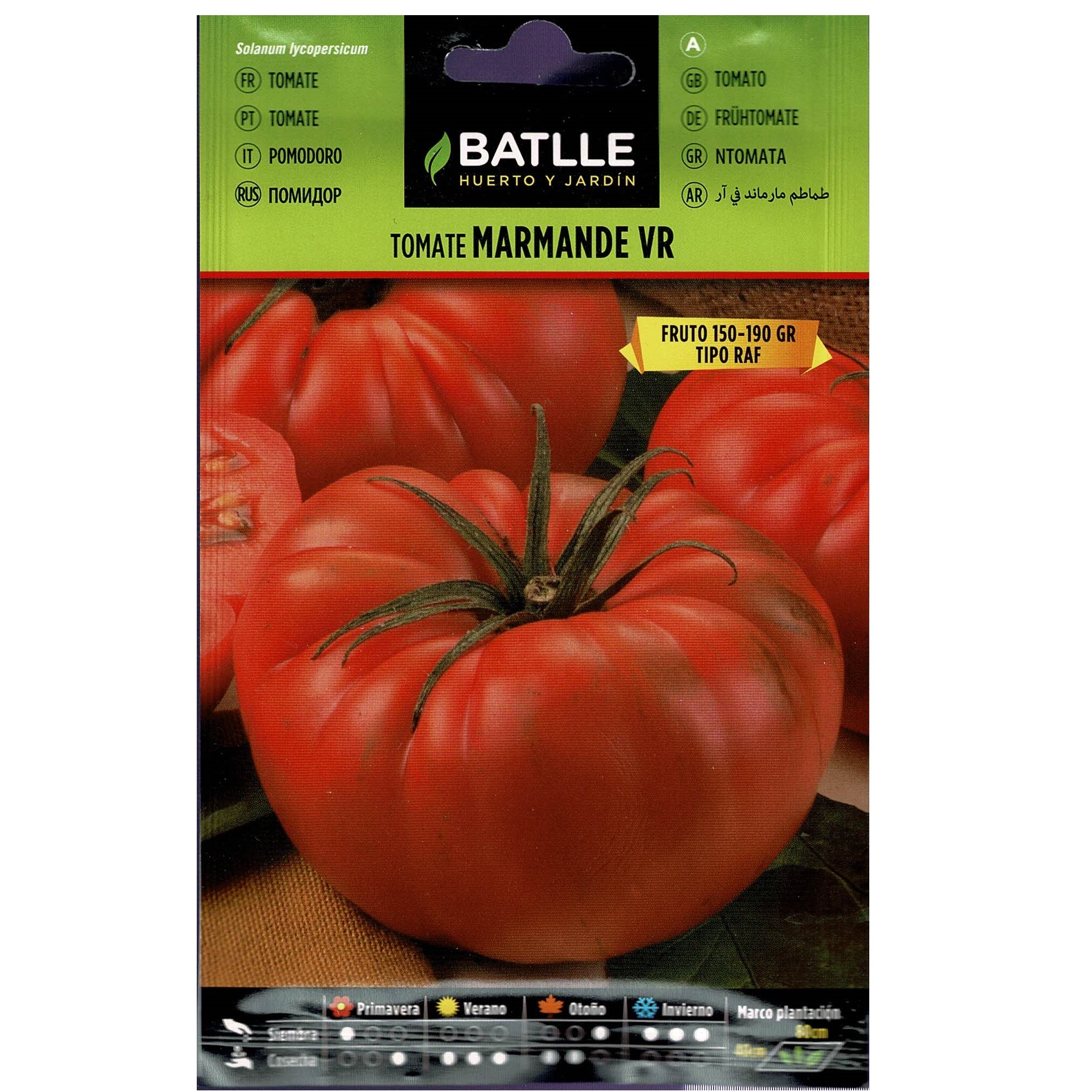 TOMATE MARMANDE VR.HOLANDA SOBRE - Imagen 2