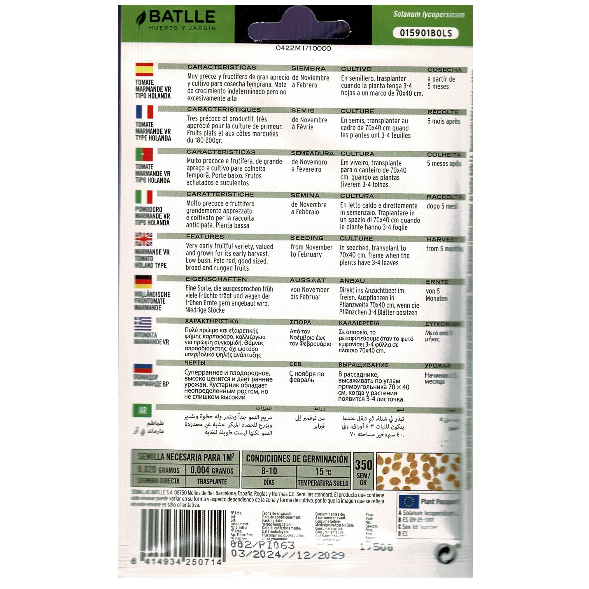 TOMATE MARMANDE VR.HOLANDA SOBRE - Imagen 3