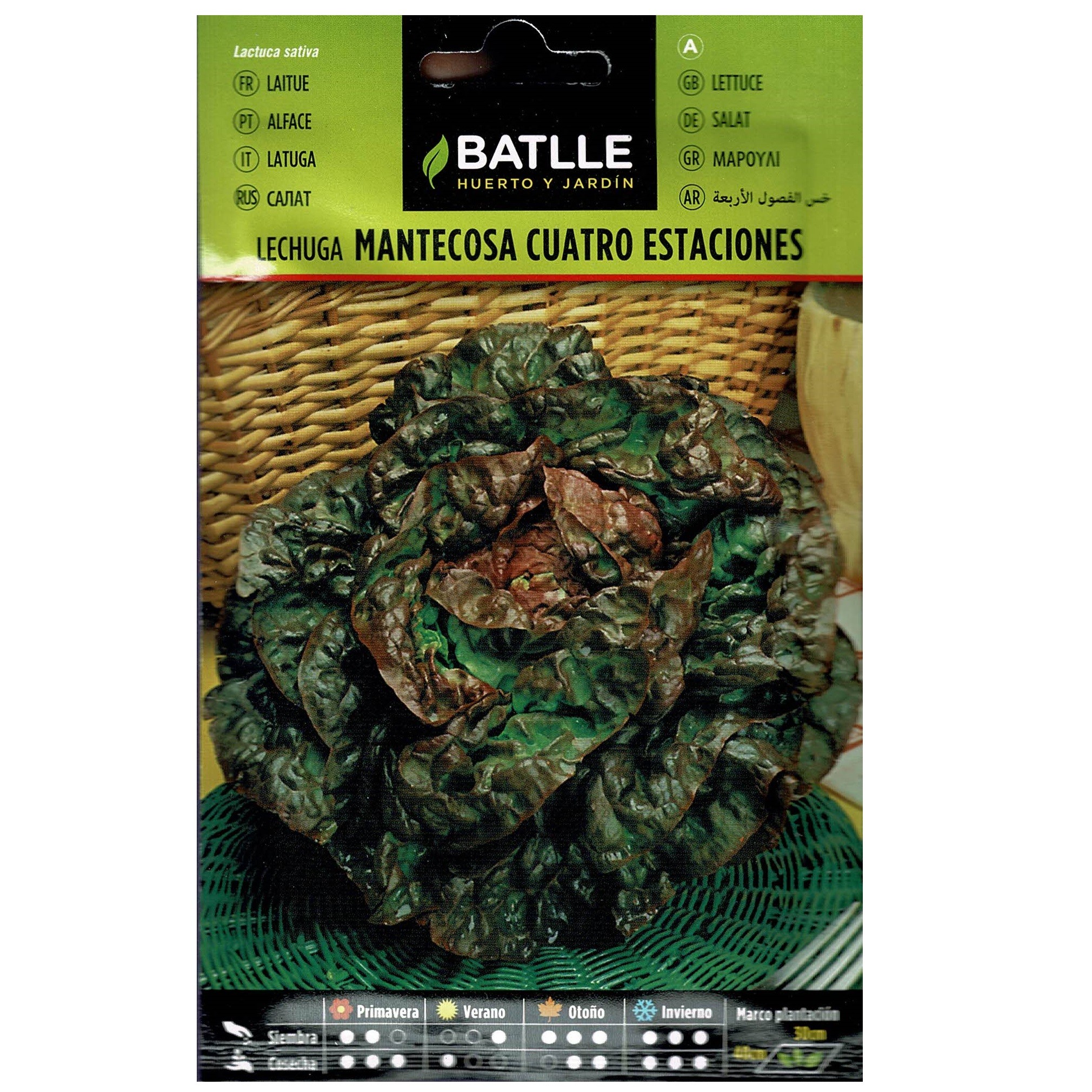 LECHUGA 4 ESTACIONES SOBRE - Imagen 2