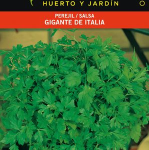 PEREJIL GIGANTE ITALIA SOBRE