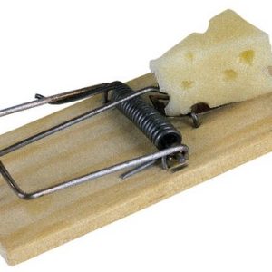 TRAMPA RATON MADERA LUNA