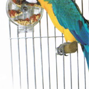 SUN PARROTS LA RUEDA INTERACTIVA